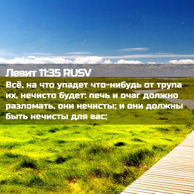 Picture 02 - Левит 11:35 RUSV - Всё, на что упадет - Bible Verse Picture
