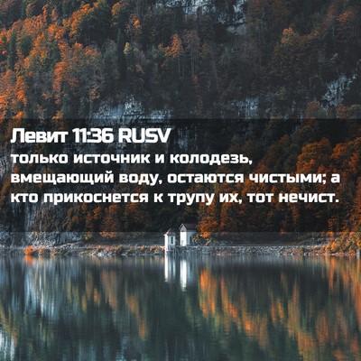 Picture 02 - Левит 11:36 RUSV - только источник и - Bible Verse Picture