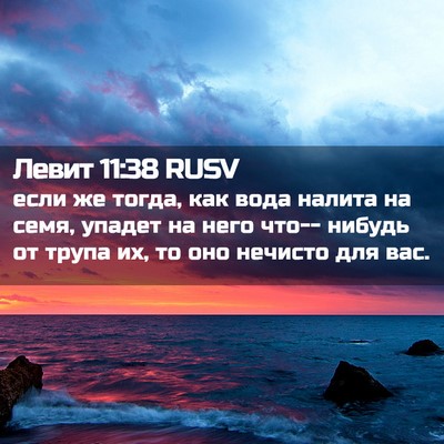 Picture 02 - Левит 11:38 RUSV - если же тогда, как вода - Bible Verse Picture