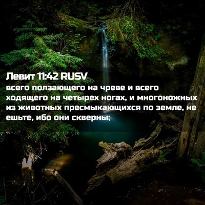 Picture 02 - Левит 11:42 RUSV - всего ползающего на чреве - Bible Verse Picture