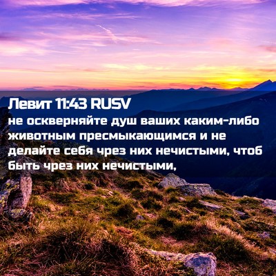 Picture 02 - Левит 11:43 RUSV - не оскверняйте душ ваших - Bible Verse Picture