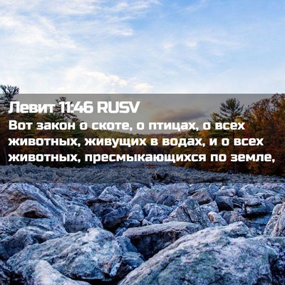 Picture 02 - Левит 11:46 RUSV - Вот закон о скоте, о птицах, - Bible Verse Picture