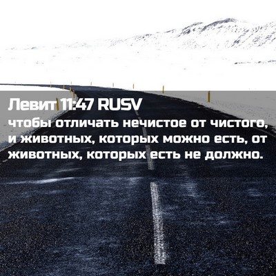 Picture 02 - Левит 11:47 RUSV - чтобы отличать нечистое от - Bible Verse Picture