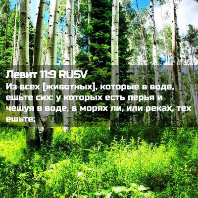 Picture 02 - Левит 11:9 RUSV - Из всех [животных], которые - Bible Verse Picture