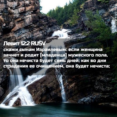 Picture 02 - Левит 12:2 RUSV - скажи сынам Израилевым: - Bible Verse Picture