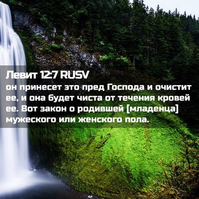 Picture 02 - Левит 12:7 RUSV - он принесет это пред - Bible Verse Picture
