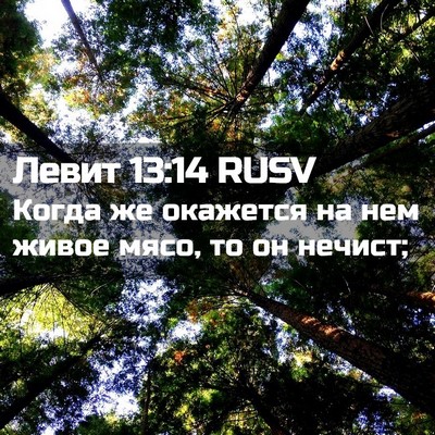 Picture 02 - Левит 13:14 RUSV - Когда же окажется на нем - Bible Verse Picture