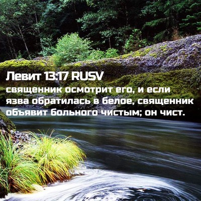 Picture 02 - Левит 13:17 RUSV - священник осмотрит его, и - Bible Verse Picture