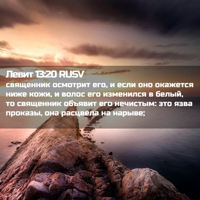 Picture 02 - Левит 13:20 RUSV - священник осмотрит его, и - Bible Verse Picture
