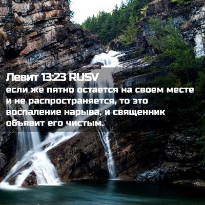 Picture 02 - Левит 13:23 RUSV - если же пятно остается на - Bible Verse Picture