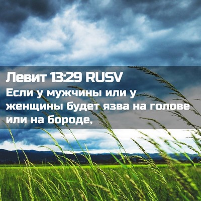 Picture 02 - Левит 13:29 RUSV - Если у мужчины или у - Bible Verse Picture