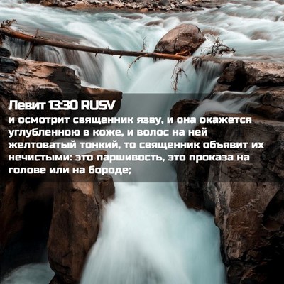 Picture 02 - Левит 13:30 RUSV - и осмотрит священник язву, - Bible Verse Picture