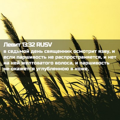 Picture 02 - Левит 13:32 RUSV - в седьмой день священник - Bible Verse Picture