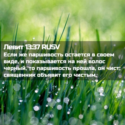 Picture 02 - Левит 13:37 RUSV - Если же паршивость - Bible Verse Picture