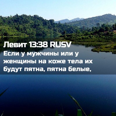 Picture 02 - Левит 13:38 RUSV - Если у мужчины или у - Bible Verse Picture