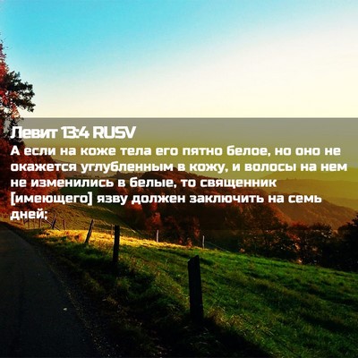 Picture 02 - Левит 13:4 RUSV - А если на коже тела его - Bible Verse Picture