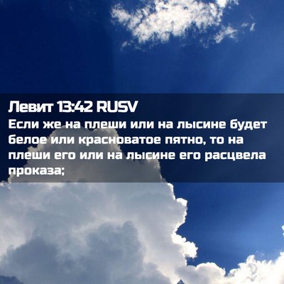 Picture 02 - Левит 13:42 RUSV - Если же на плеши или на - Bible Verse Picture