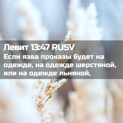 Picture 02 - Левит 13:47 RUSV - Если язва проказы будет на - Bible Verse Picture