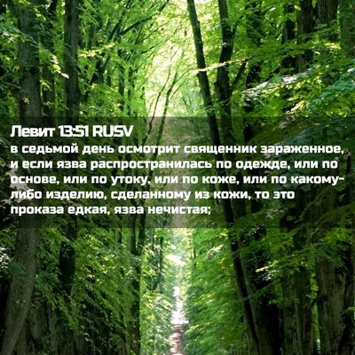 Picture 02 - Левит 13:51 RUSV - в седьмой день осмотрит - Bible Verse Picture