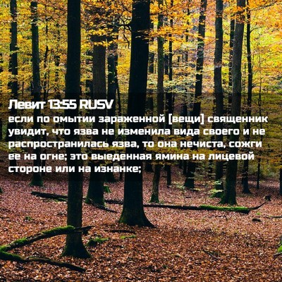 Picture 02 - Левит 13:55 RUSV - если по омытии зараженной - Bible Verse Picture