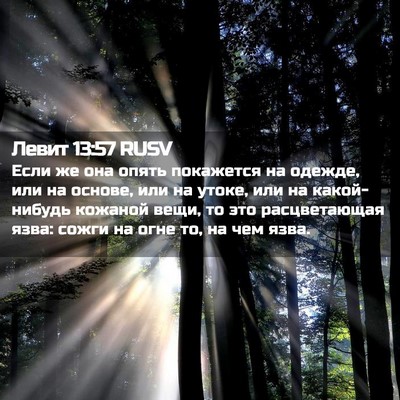 Picture 02 - Левит 13:57 RUSV - Если же она опять - Bible Verse Picture