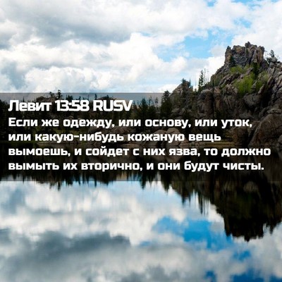 Picture 02 - Левит 13:58 RUSV - Если же одежду, или основу, - Bible Verse Picture