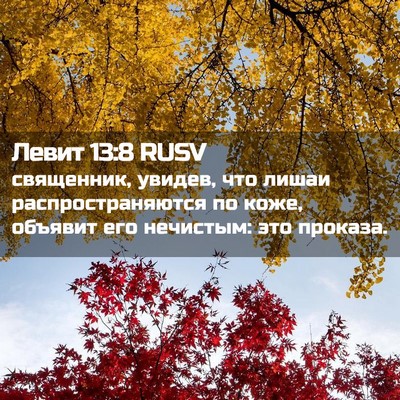 Picture 02 - Левит 13:8 RUSV - священник, увидев, что - Bible Verse Picture
