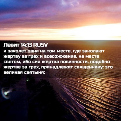 Picture 02 - Левит 14:13 RUSV - и заколет овна на том - Bible Verse Picture