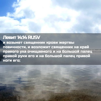 Picture 02 - Левит 14:14 RUSV - и возьмет священник крови - Bible Verse Picture