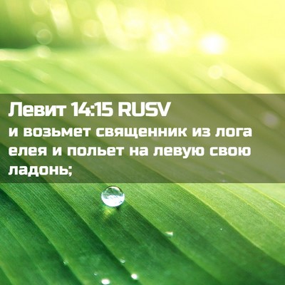 Picture 02 - Левит 14:15 RUSV - и возьмет священник из - Bible Verse Picture
