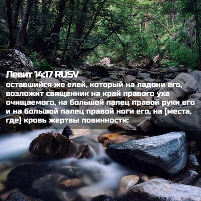 Picture 02 - Левит 14:17 RUSV - оставшийся же елей, - Bible Verse Picture