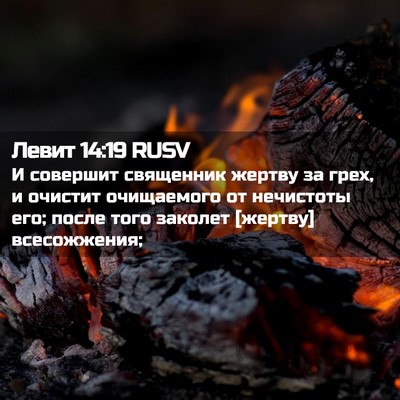 Picture 02 - Левит 14:19 RUSV - И совершит священник - Bible Verse Picture