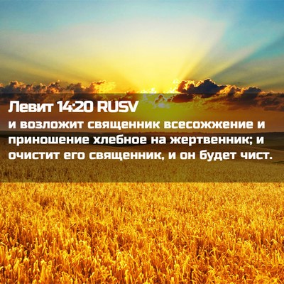 Picture 02 - Левит 14:20 RUSV - и возложит священник - Bible Verse Picture