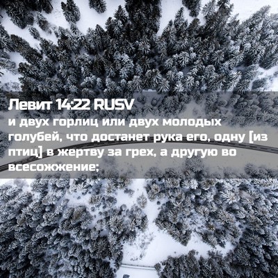 Picture 02 - Левит 14:22 RUSV - и двух горлиц или двух - Bible Verse Picture