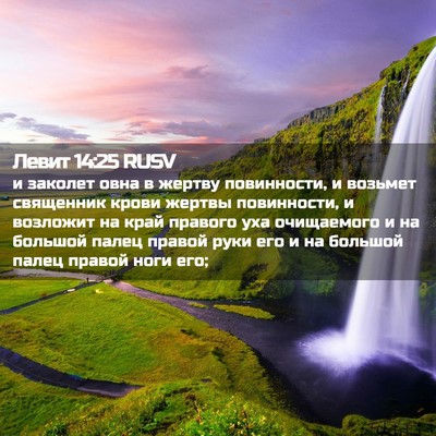 Picture 02 - Левит 14:25 RUSV - и заколет овна в жертву - Bible Verse Picture