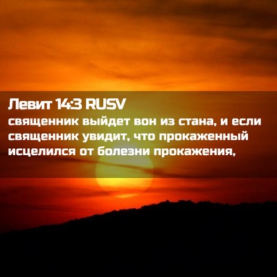 Picture 02 - Левит 14:3 RUSV - священник выйдет вон из - Bible Verse Picture