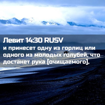 Picture 02 - Левит 14:30 RUSV - и принесет одну из горлиц - Bible Verse Picture