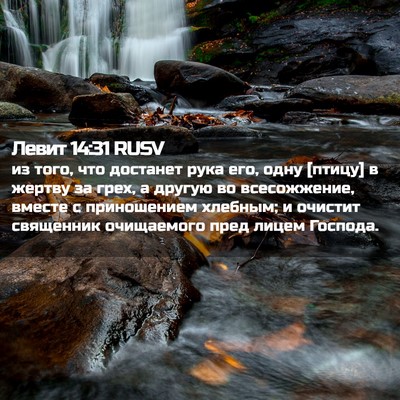 Picture 02 - Левит 14:31 RUSV - из того, что достанет рука - Bible Verse Picture