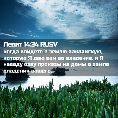 Picture 02 - Левит 14:34 RUSV - когда войдете в землю - Bible Verse Picture