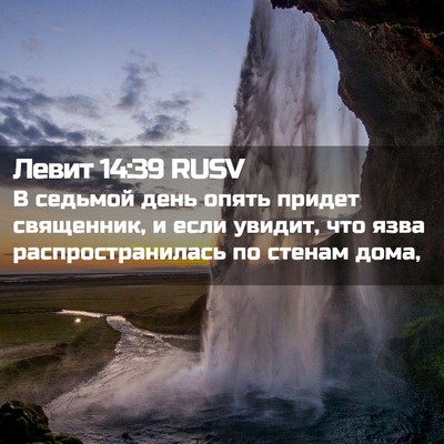 Picture 02 - Левит 14:39 RUSV - В седьмой день опять - Bible Verse Picture
