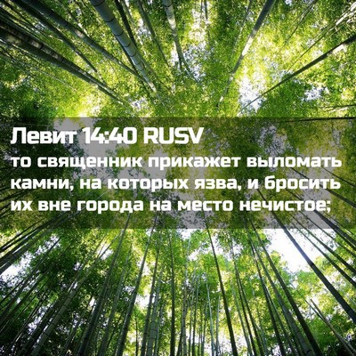 Picture 02 - Левит 14:40 RUSV - то священник прикажет - Bible Verse Picture