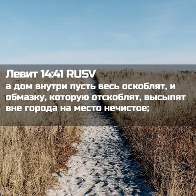 Picture 02 - Левит 14:41 RUSV - а дом внутри пусть весь - Bible Verse Picture