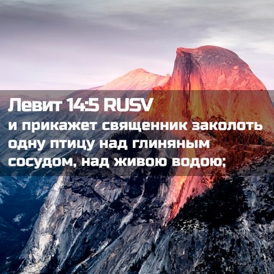 Picture 02 - Левит 14:5 RUSV - и прикажет священник - Bible Verse Picture