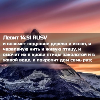 Picture 02 - Левит 14:51 RUSV - и возьмет кедровое дерево - Bible Verse Picture
