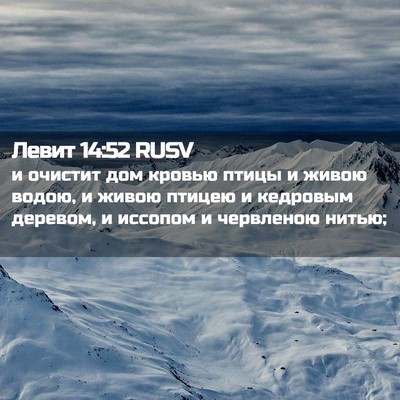 Picture 02 - Левит 14:52 RUSV - и очистит дом кровью птицы - Bible Verse Picture