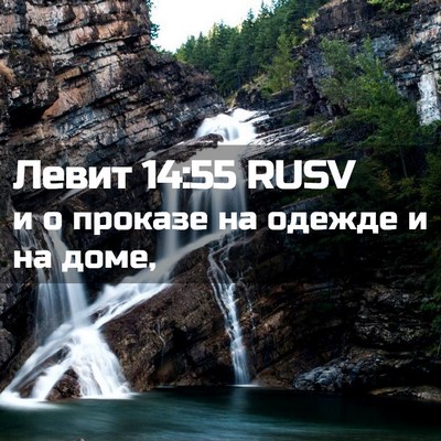 Picture 02 - Левит 14:55 RUSV - и о проказе на одежде и на - Bible Verse Picture