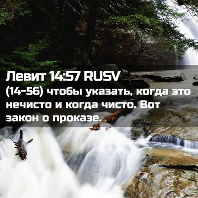 Picture 02 - Левит 14:57 RUSV - (14-56) чтобы указать, когда - Bible Verse Picture