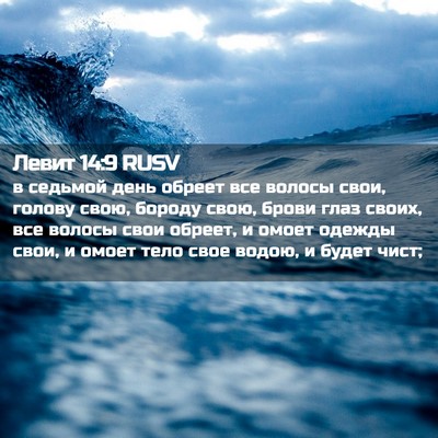 Picture 02 - Левит 14:9 RUSV - в седьмой день обреет все - Bible Verse Picture