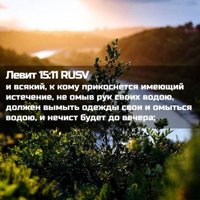 Picture 02 - Левит 15:11 RUSV - и всякий, к кому - Bible Verse Picture