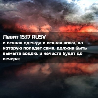 Picture 02 - Левит 15:17 RUSV - и всякая одежда и всякая - Bible Verse Picture